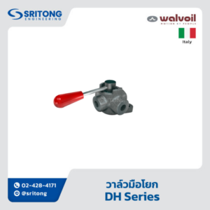 <b>วาล์วมือโยก </b></br>(Diverter Valve) – Walvoil DH Series