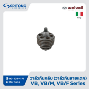 <b>วาล์วกันกลับ (วาล์วกันสายแตก)</b></br> (Check Valves With Automatic Check) – Walvoil VB, VB/M, VB/F Series