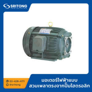 มอเตอร์ไฟฟ้าแบบสวมเพลาตรงจากปั๊มไฮดรอลิก